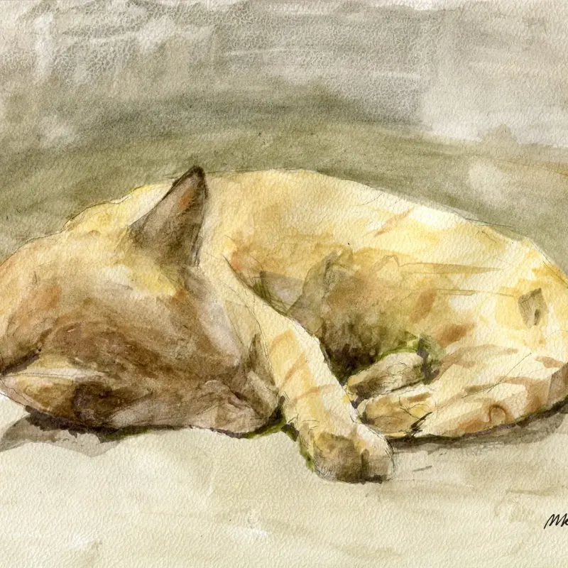 Portret młodej kobiety w zieleni